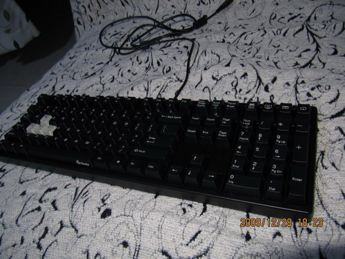 123.JPG