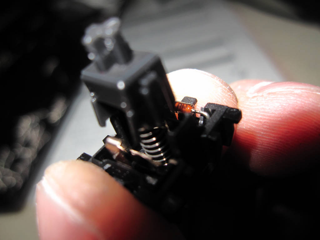 ԭ������ͼ��ɱ~plum n-key�����ᵯ�ɳɹ�~