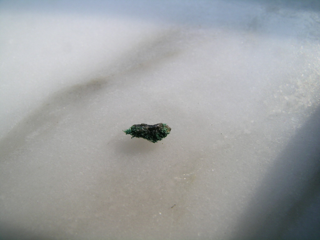 DSCN8555.JPG