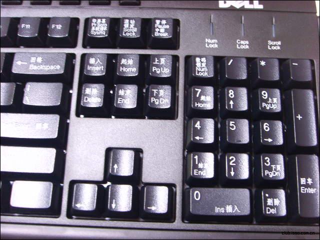 DELL sk-1789  �����