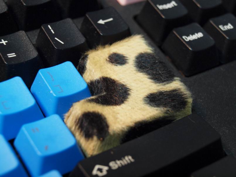 �°������Ҹ����֮--------��Ц7g�س���