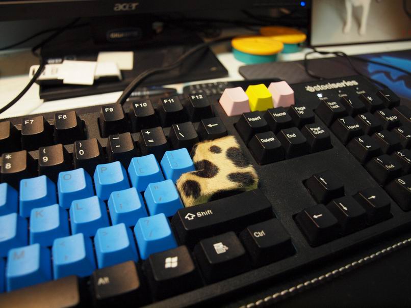 �°������Ҹ����֮--------��Ц7g�س���