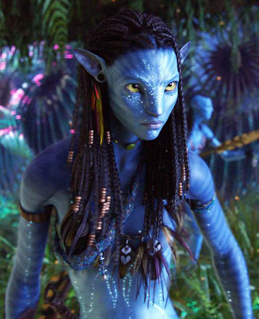 �ǹ����ھ�