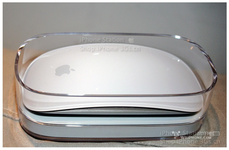 Magicmouse1.jpg