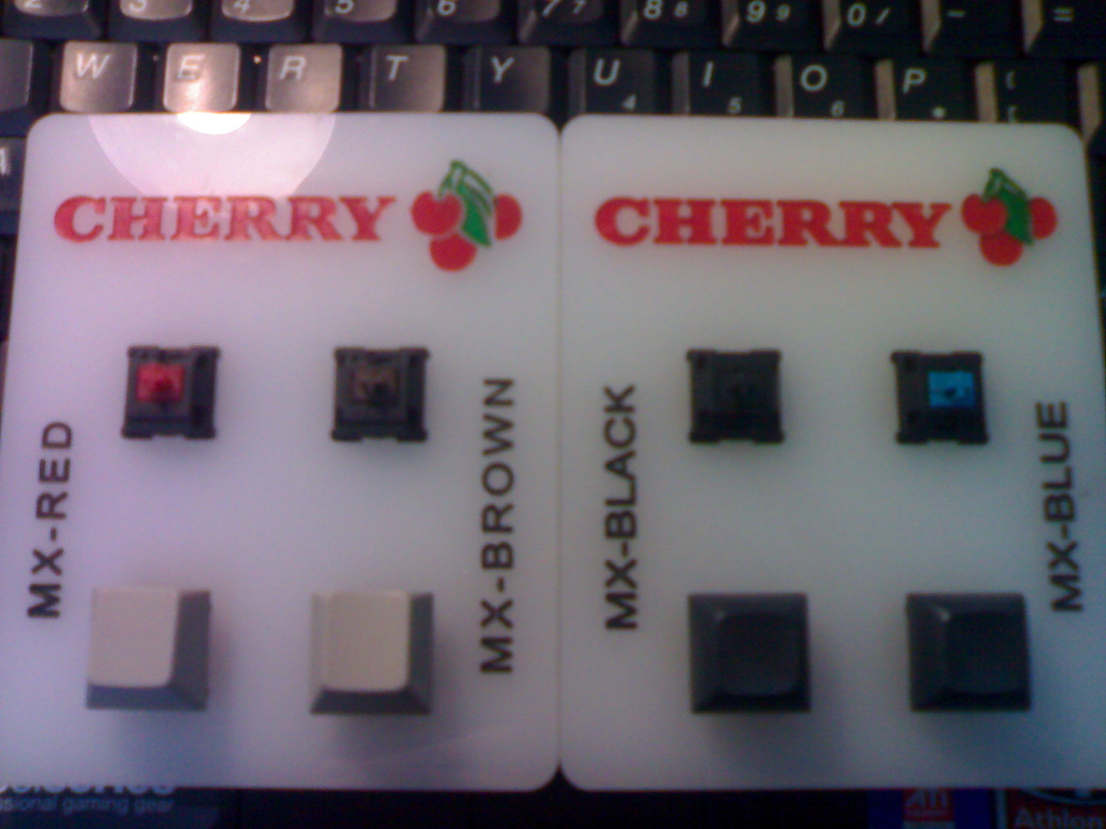 20100111086.jpg