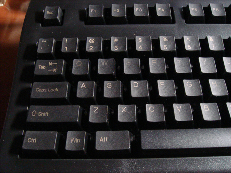 PLUM�������֡�������