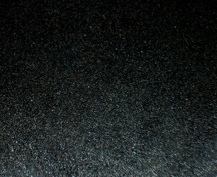 DSC00316.jpg