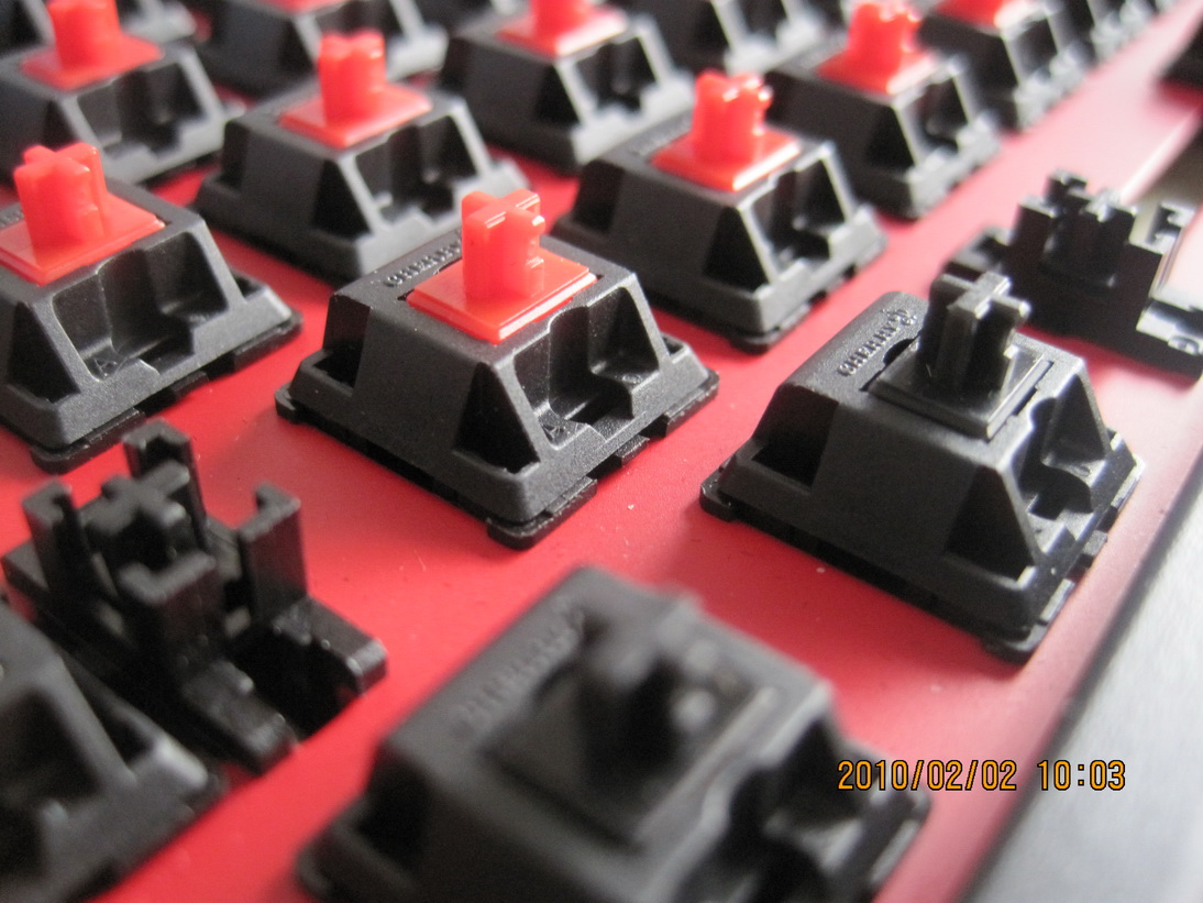 DUCKY�ں��� ������