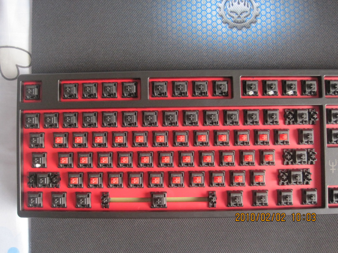 DUCKY�ں��� ������