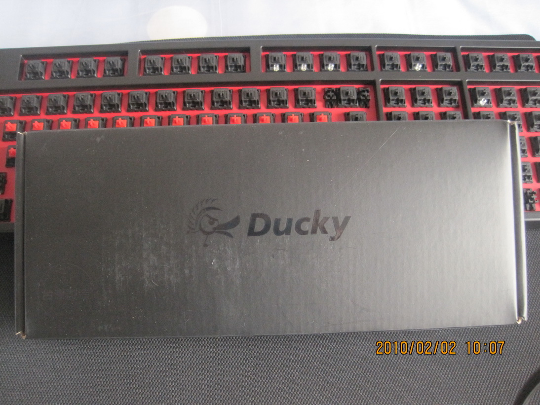 DUCKY�ں��� ������