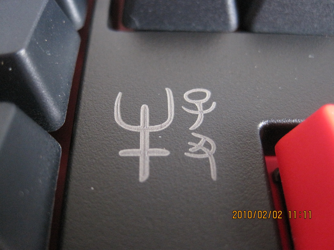 DUCKY�ں��� ������