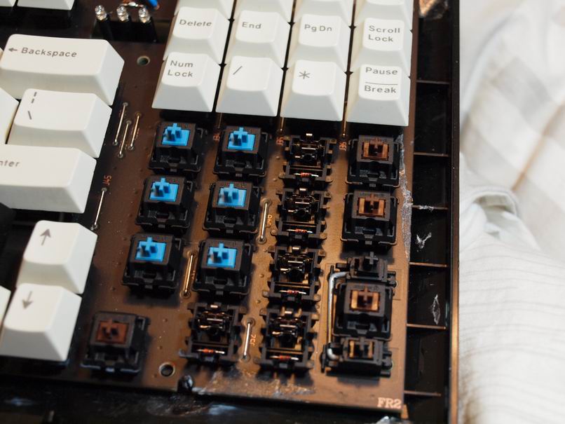 ҹ��˯���ţ�WNV 1865���������Ҹ߳���