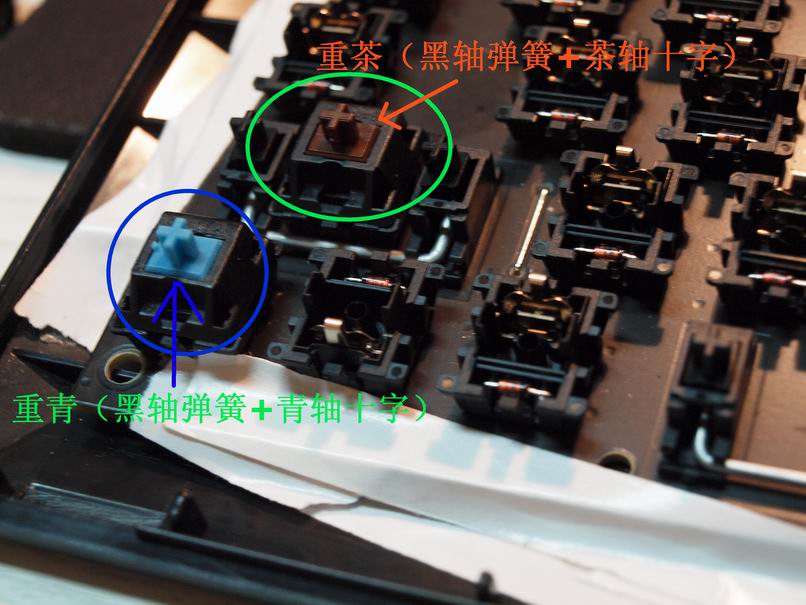 ҹ��˯���ţ�WNV 1865���������Ҹ߳���