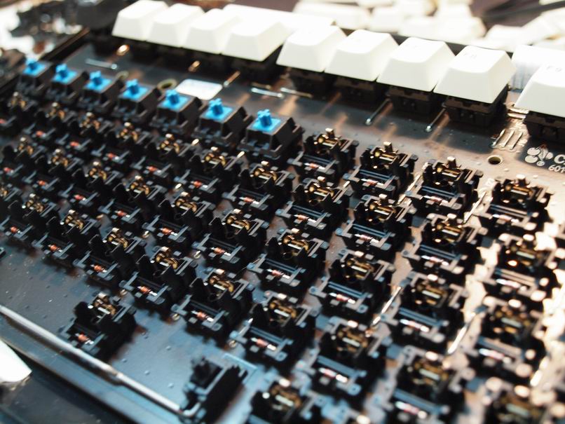 ҹ��˯���ţ�WNV 1865���������Ҹ߳���