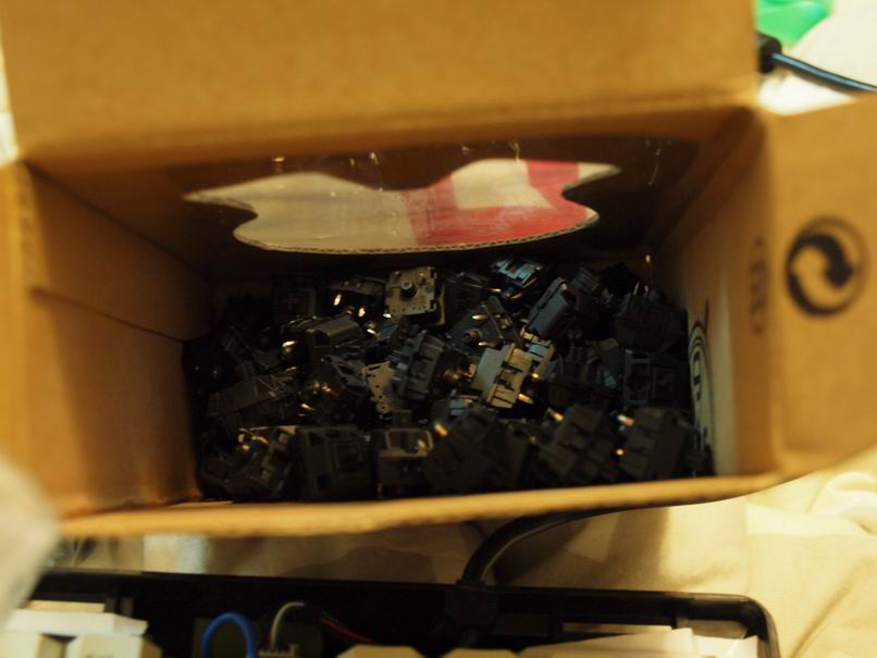 ҹ��˯���ţ�WNV 1865���������Ҹ߳���