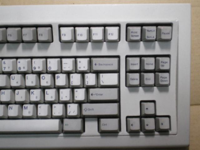 IMGP6509.JPG