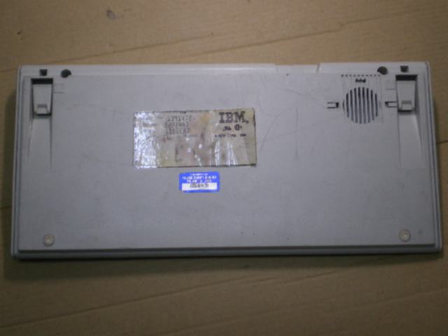 IMGP6510.JPG