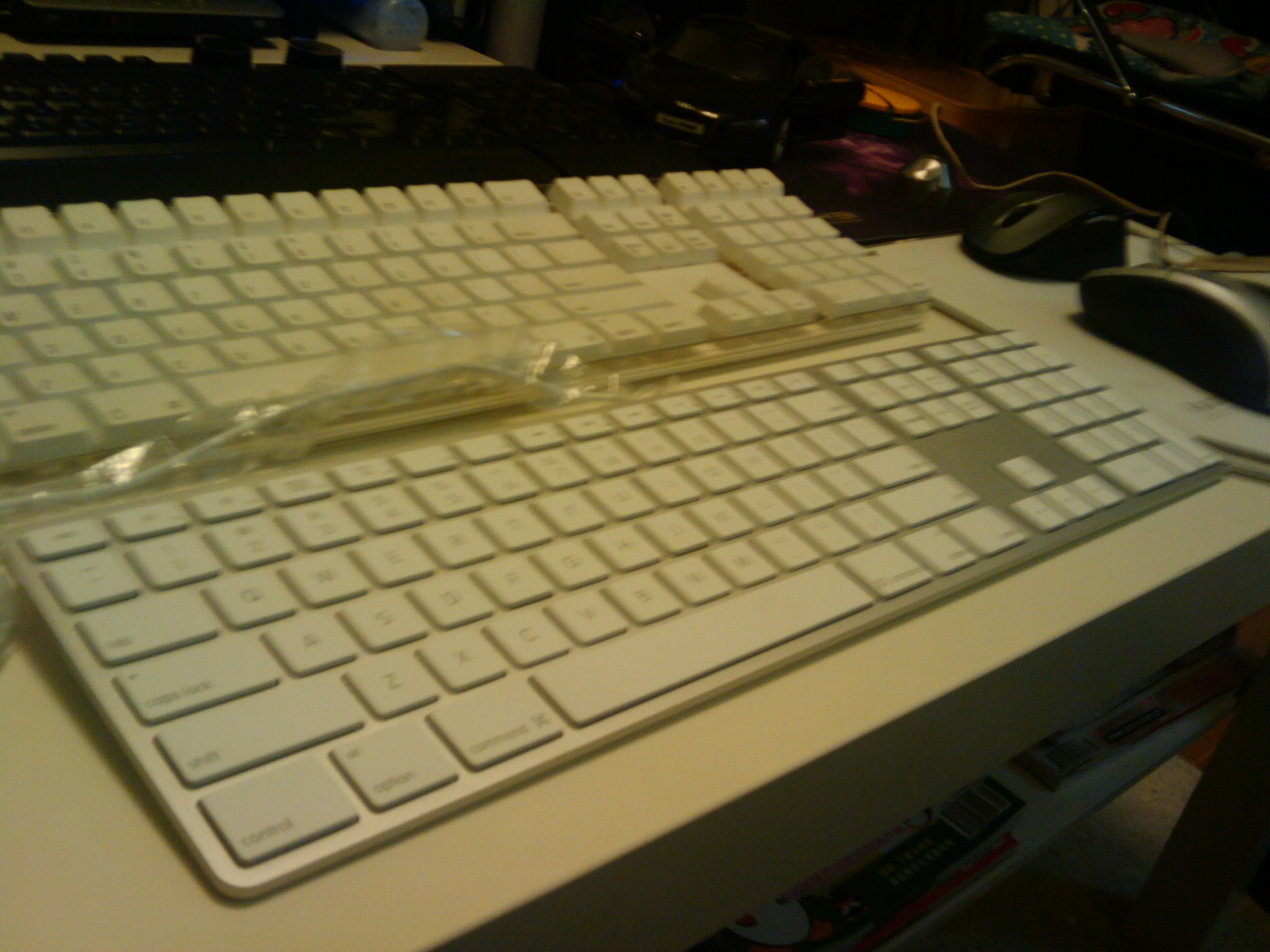 2010-02-04 21.33.58.jpg