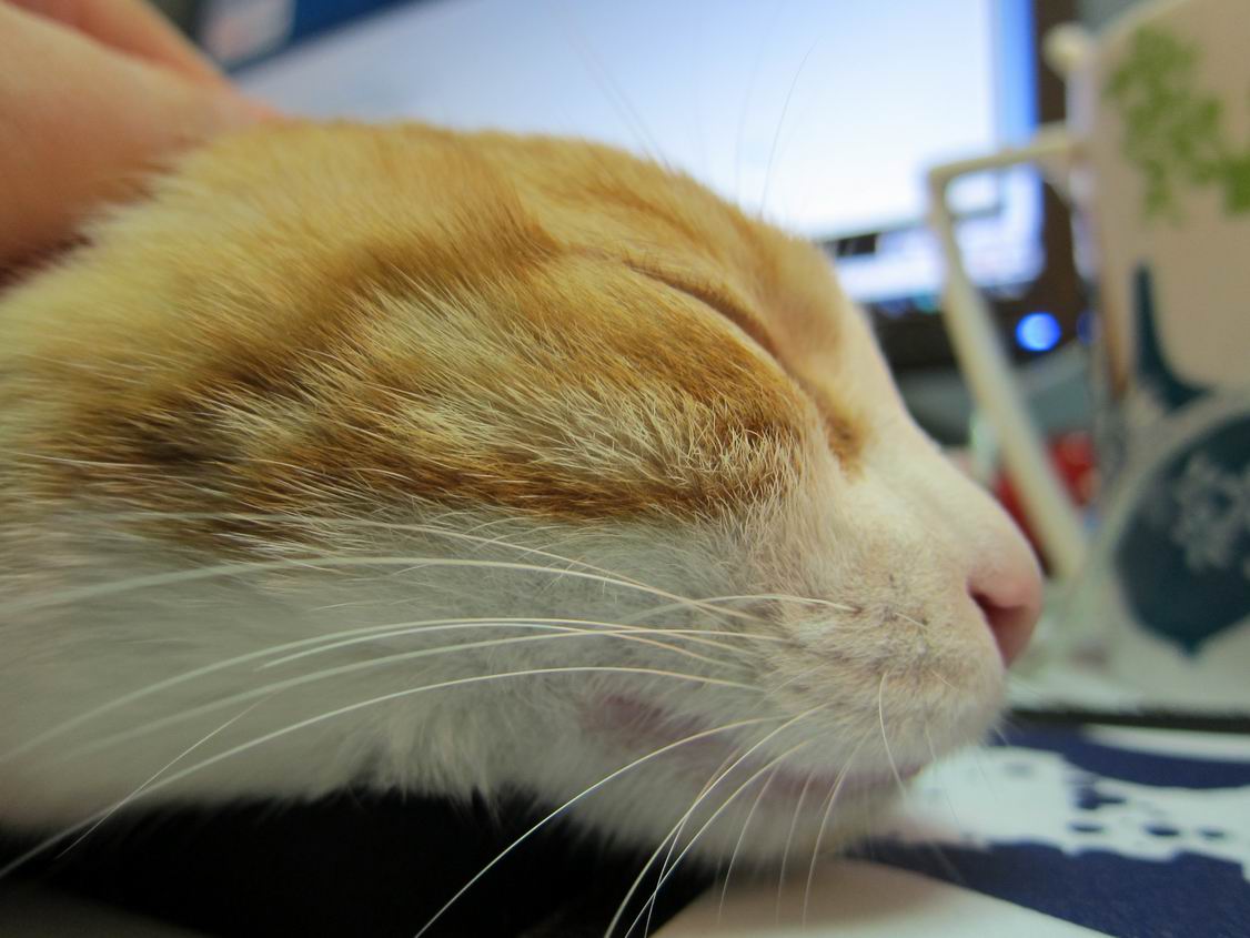 ����ط����ģ���㣬Ӯ�������棡