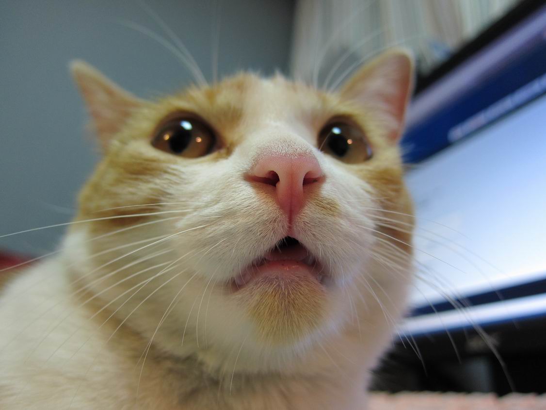 ����ط����ģ���㣬Ӯ�������棡