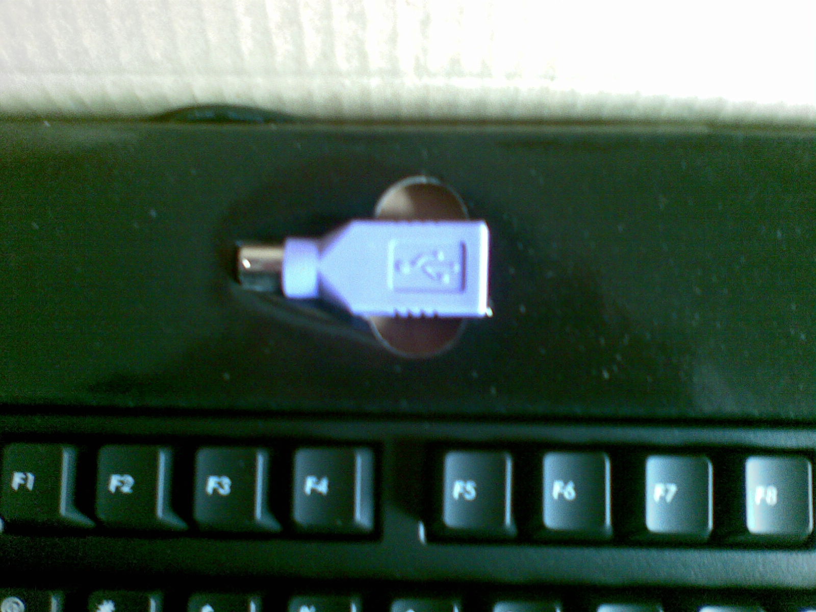 20100212_007.jpg