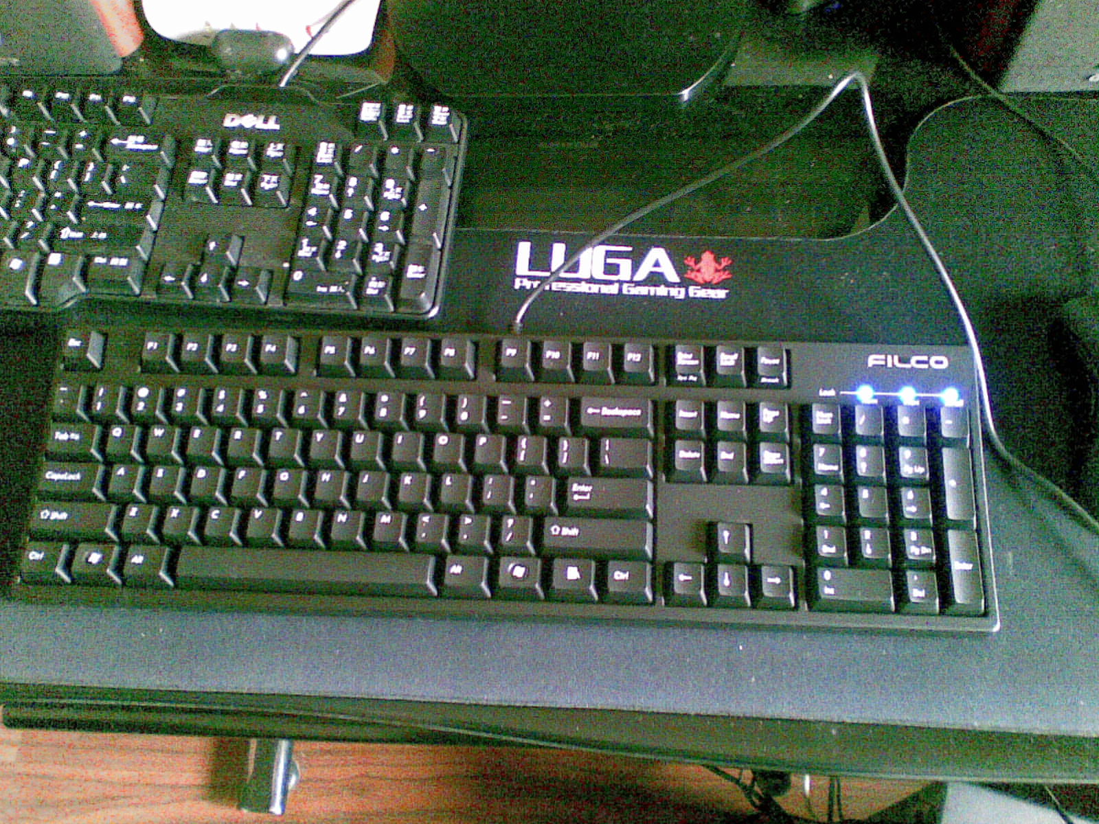 20100212_011.jpg