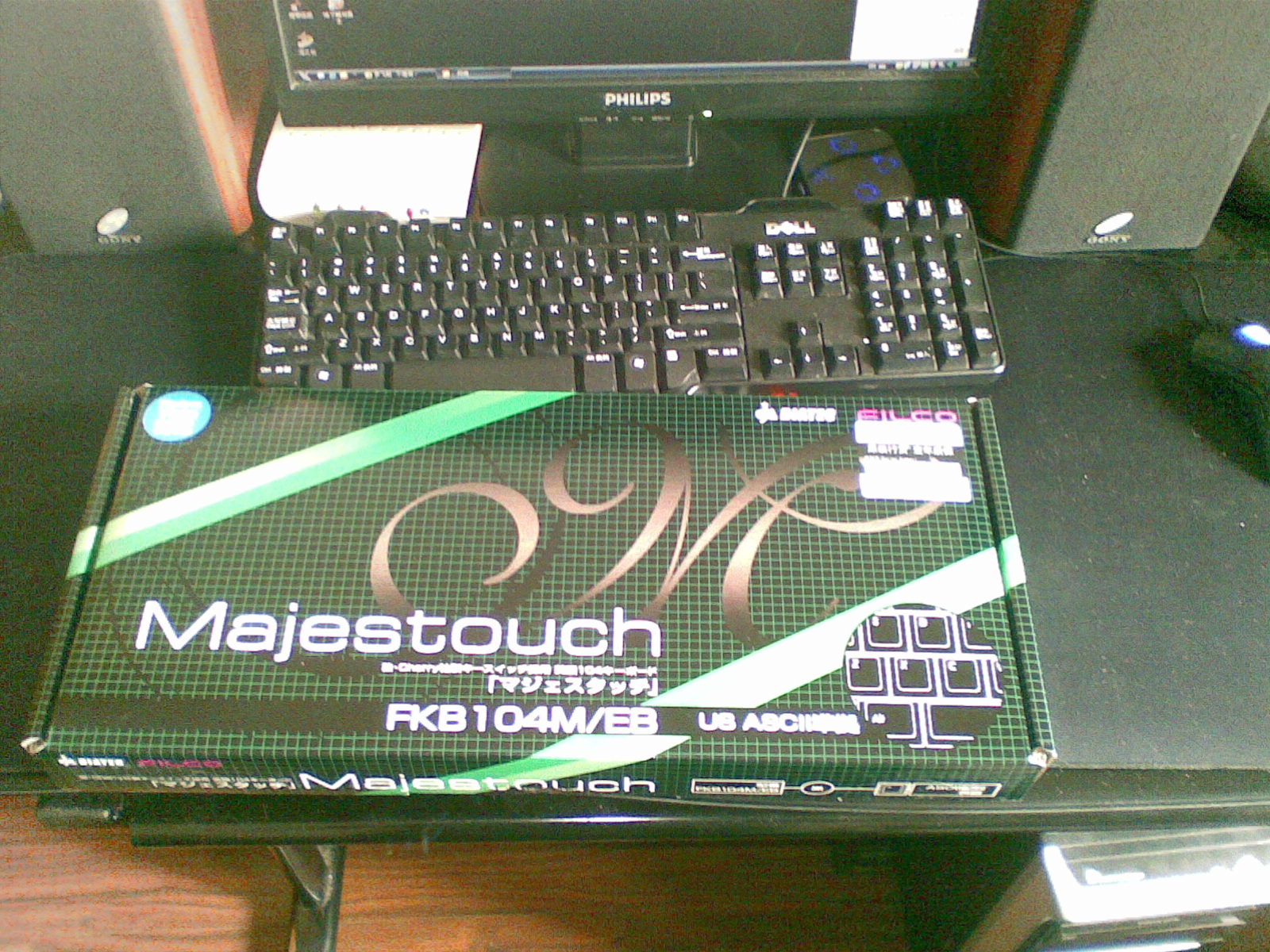 20100212.jpg