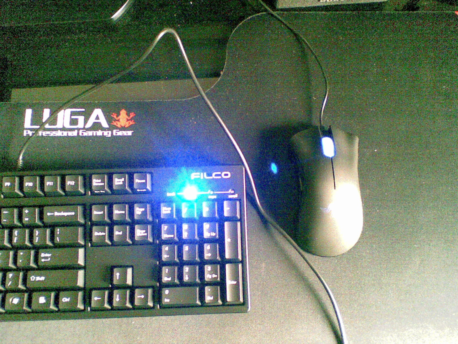 20100212_010.jpg