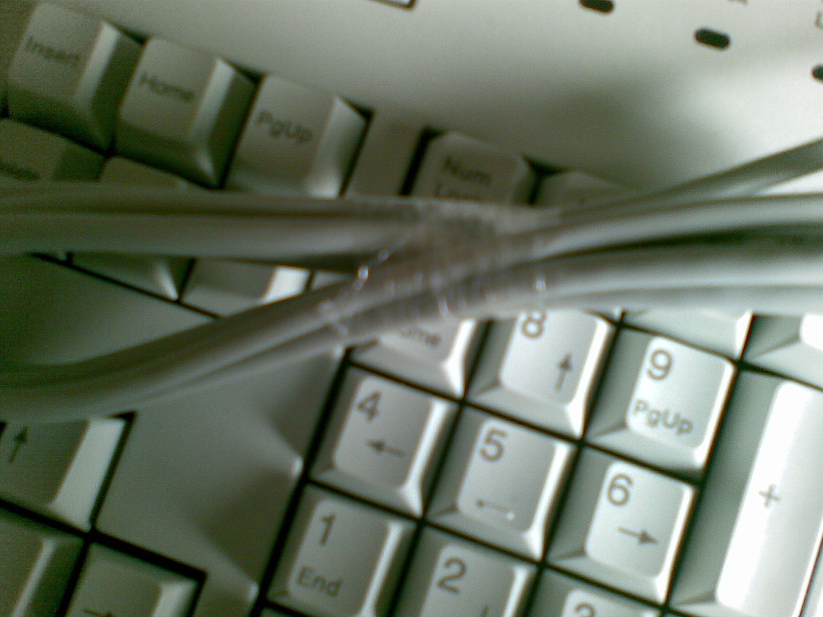 20100212_018.jpg
