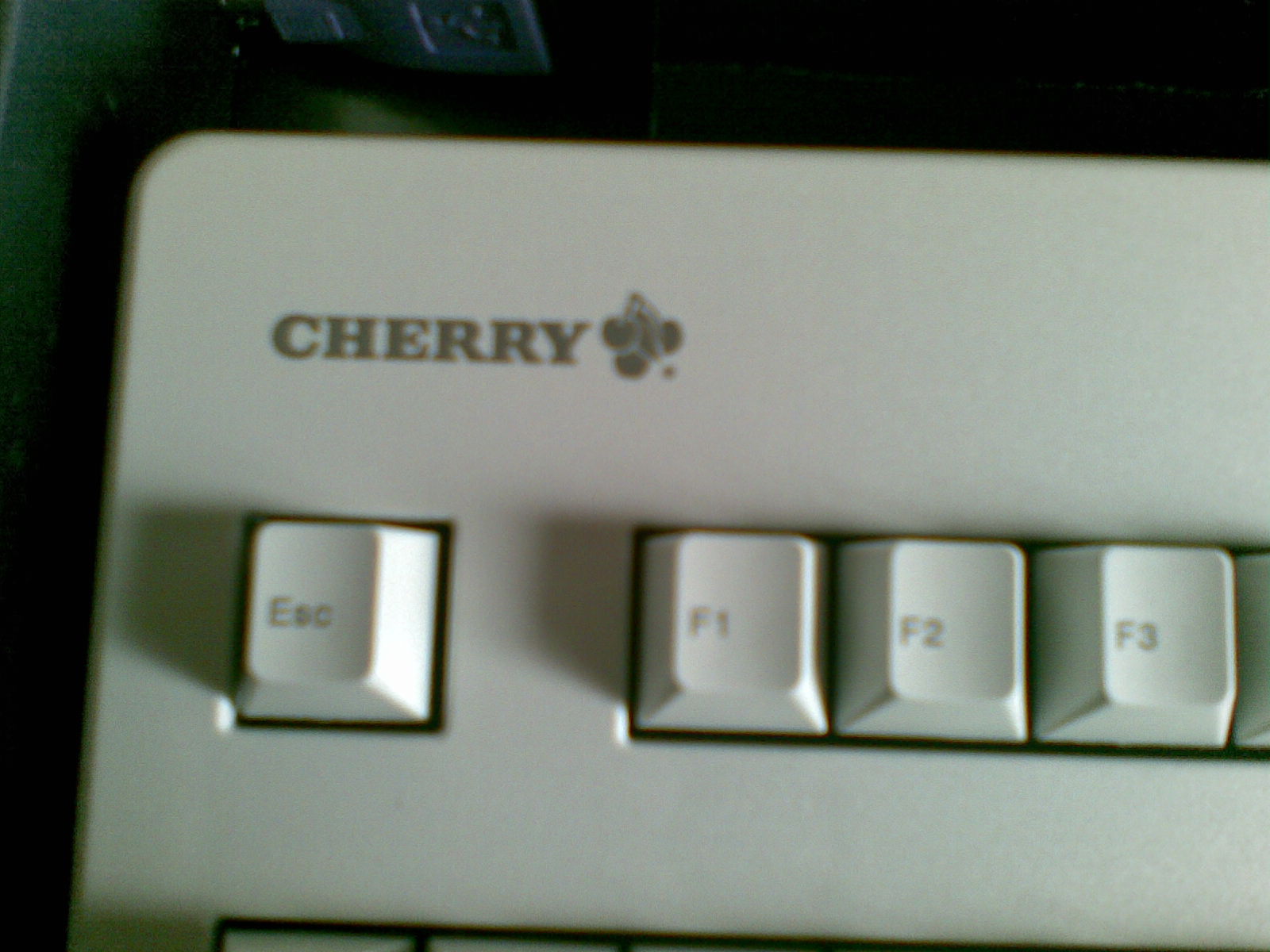 20100212_014.jpg