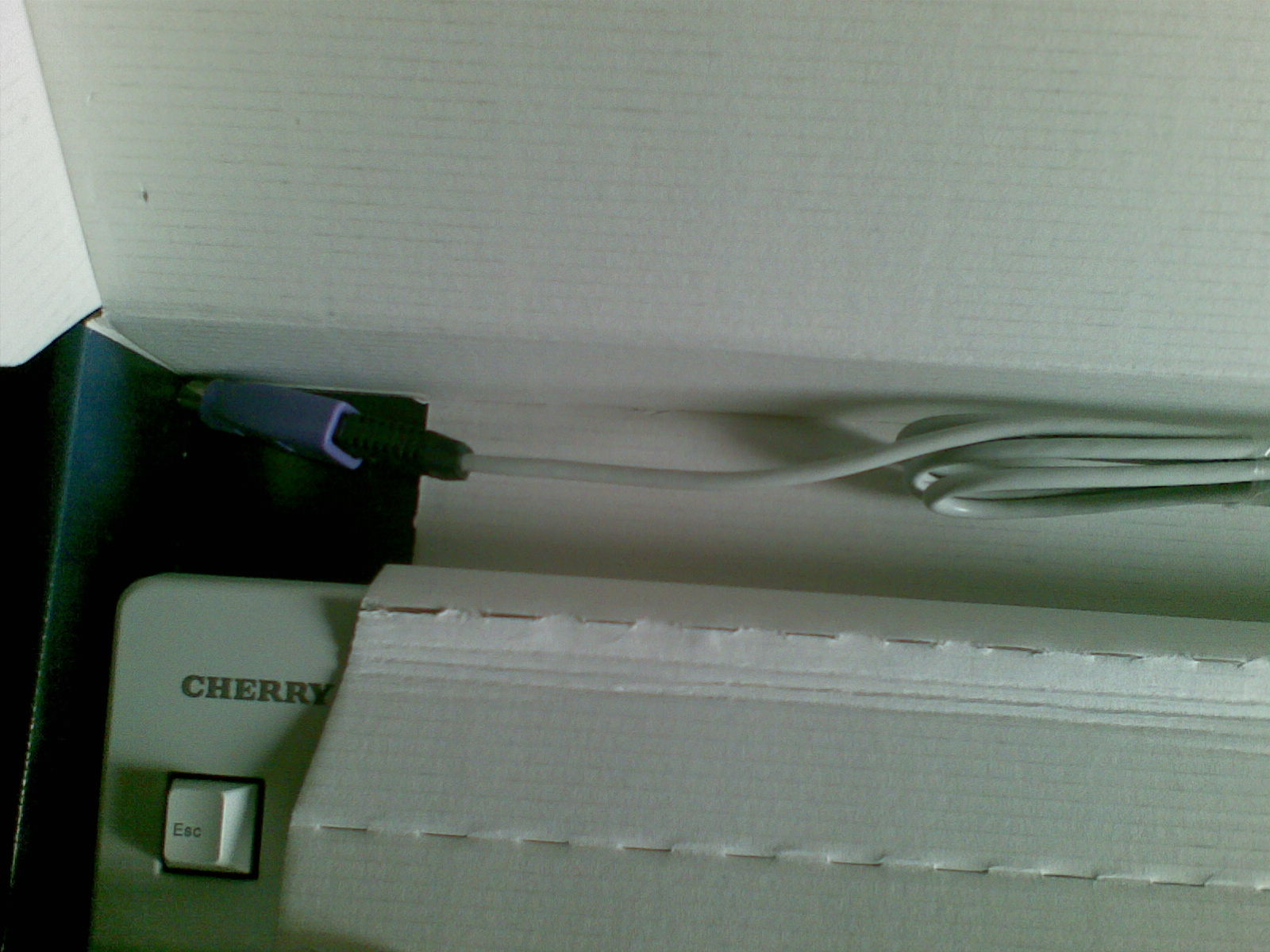 20100212_016.jpg