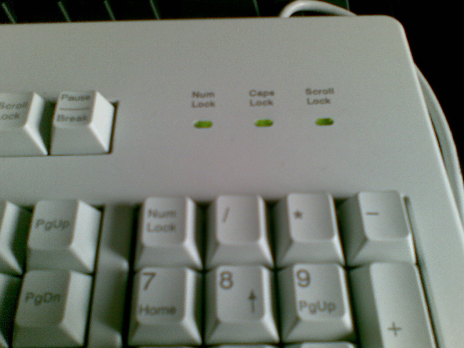 20100212_026.jpg