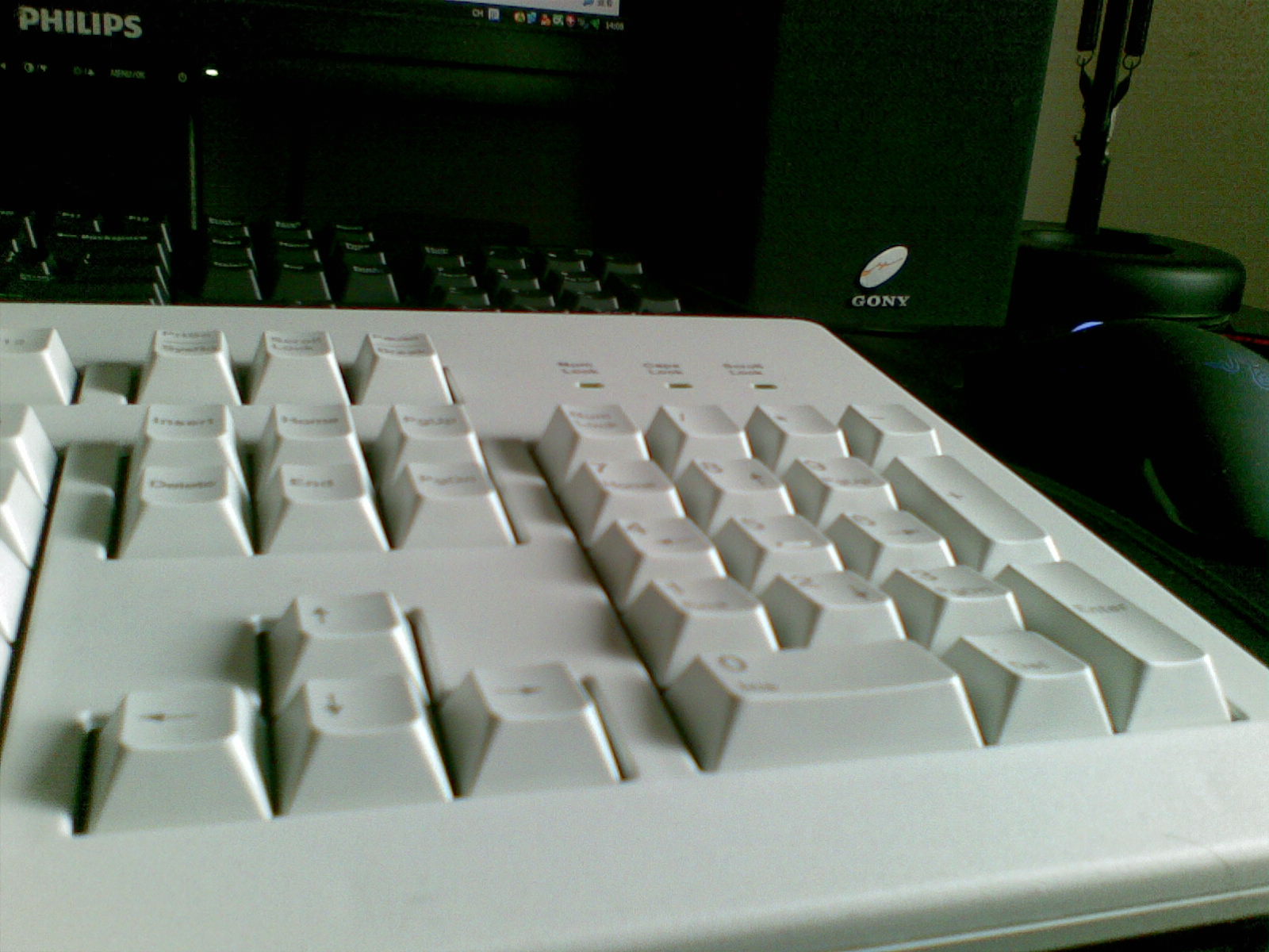 20100212_027.jpg