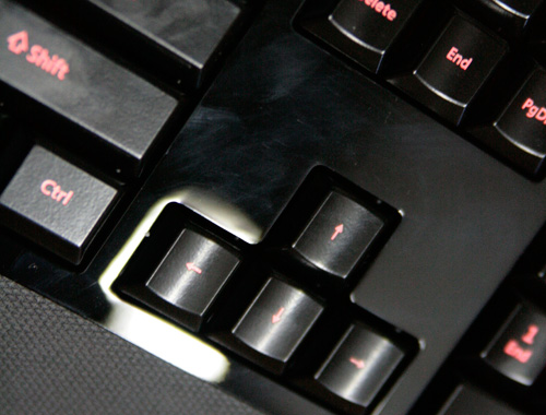 _MG_0018.jpg