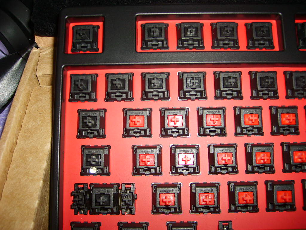 趯й졪DUCKY108 ر