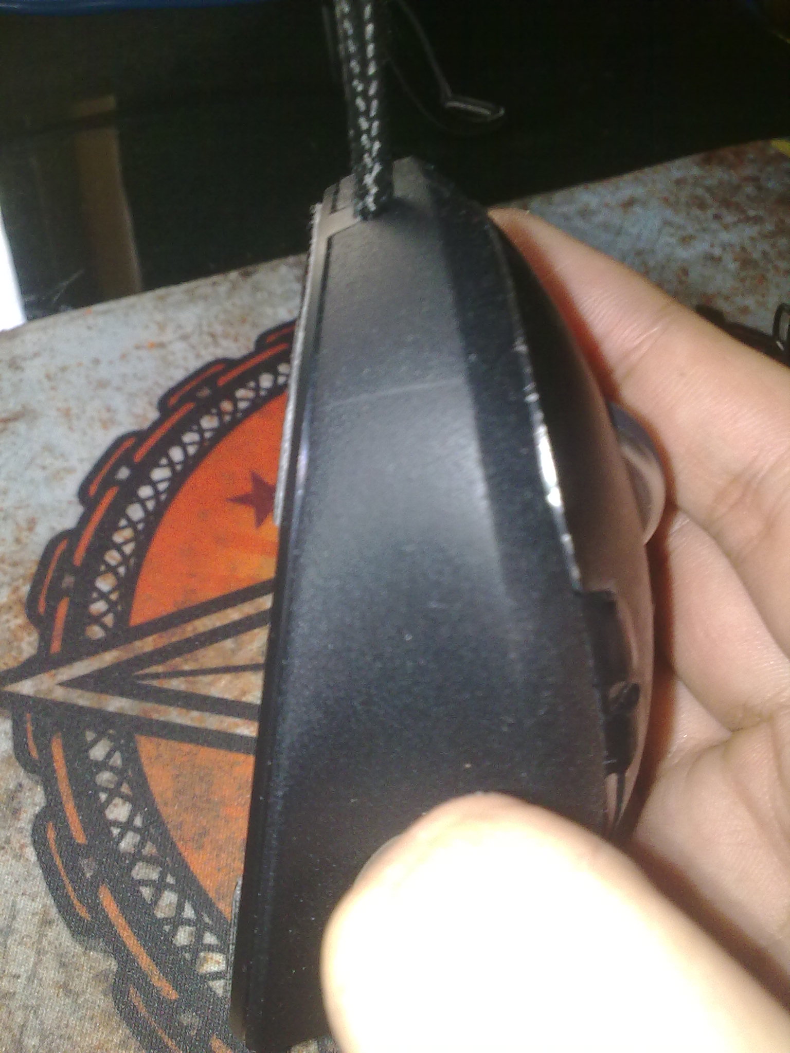 20100222055.jpg