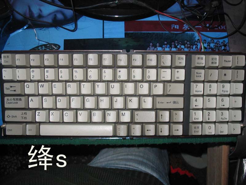 ������о����