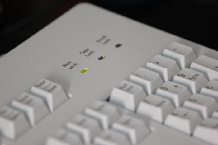 Ԫ������cherry���ᣬ������ף