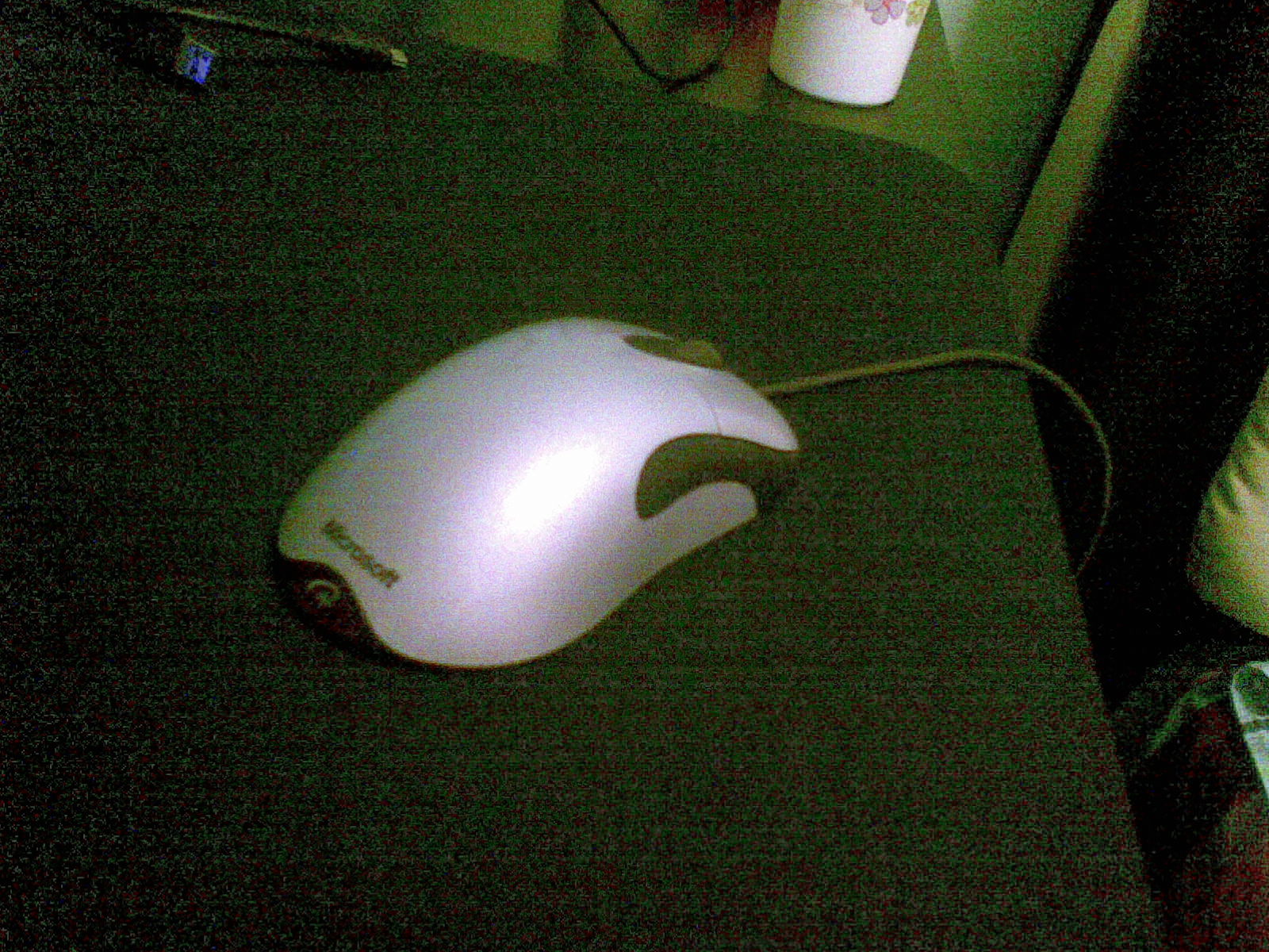 20100228535.jpg