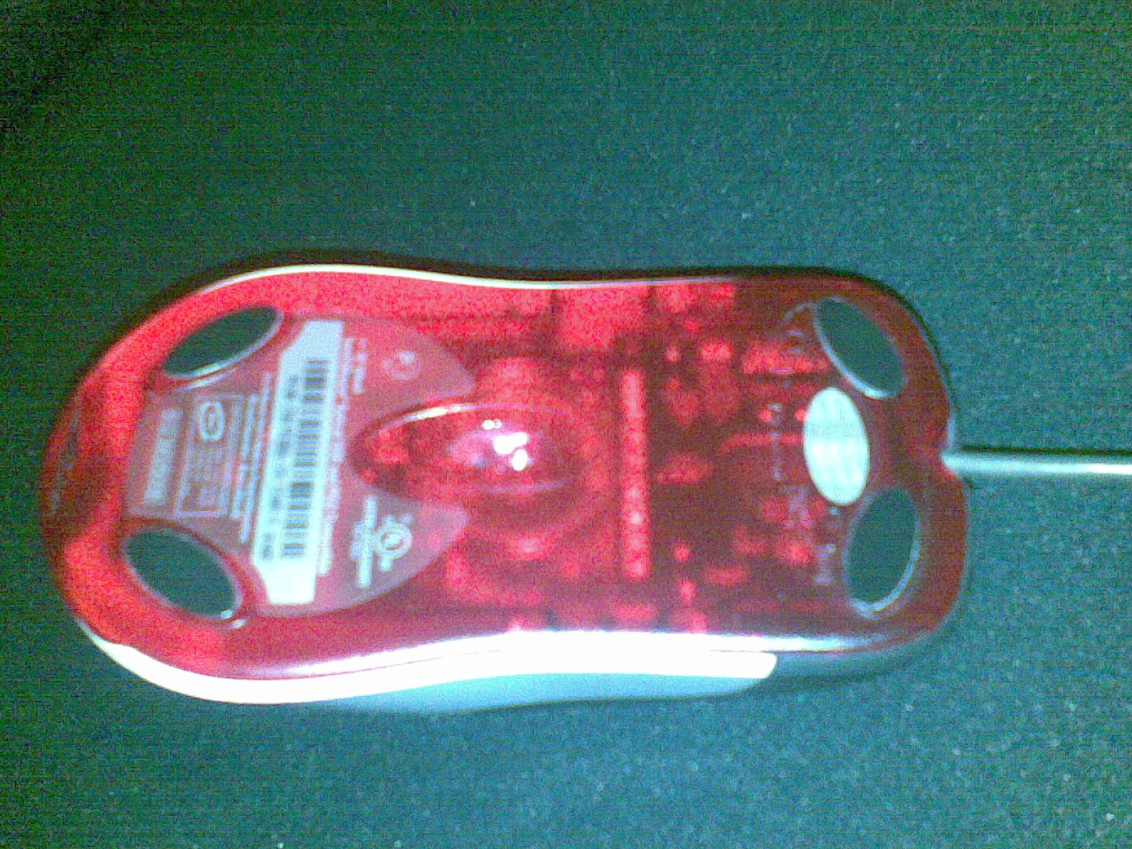 20100228539.jpg