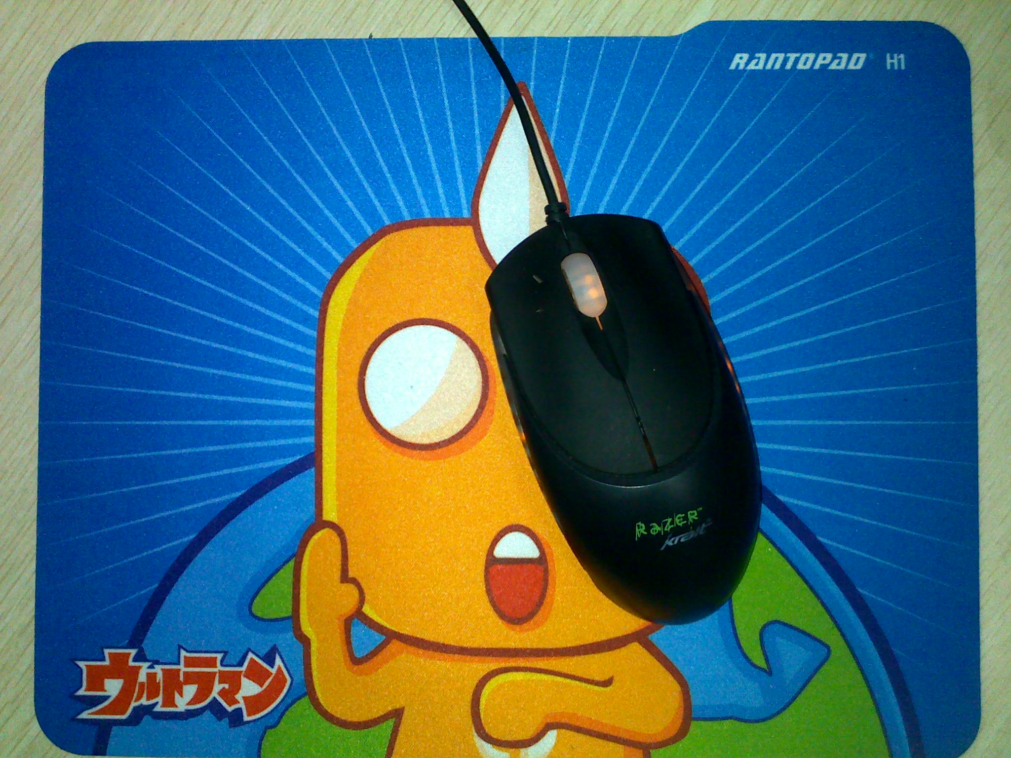 20100303244.jpg