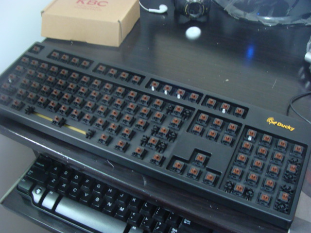DUCKY�������㲻���پ�����..