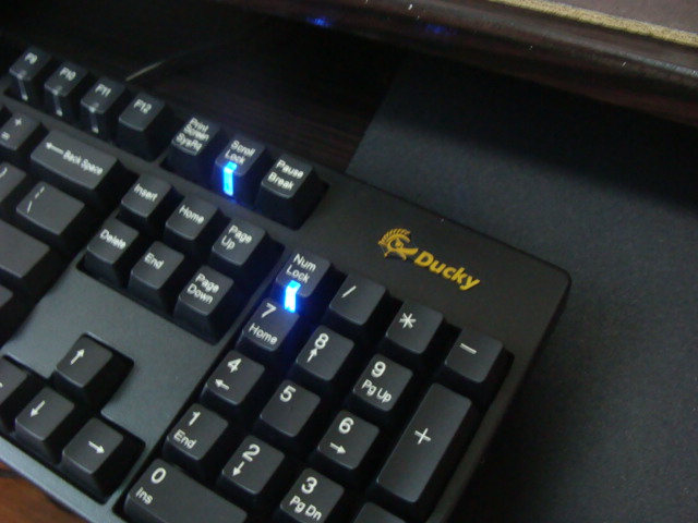 DUCKY�������㲻���پ�����..