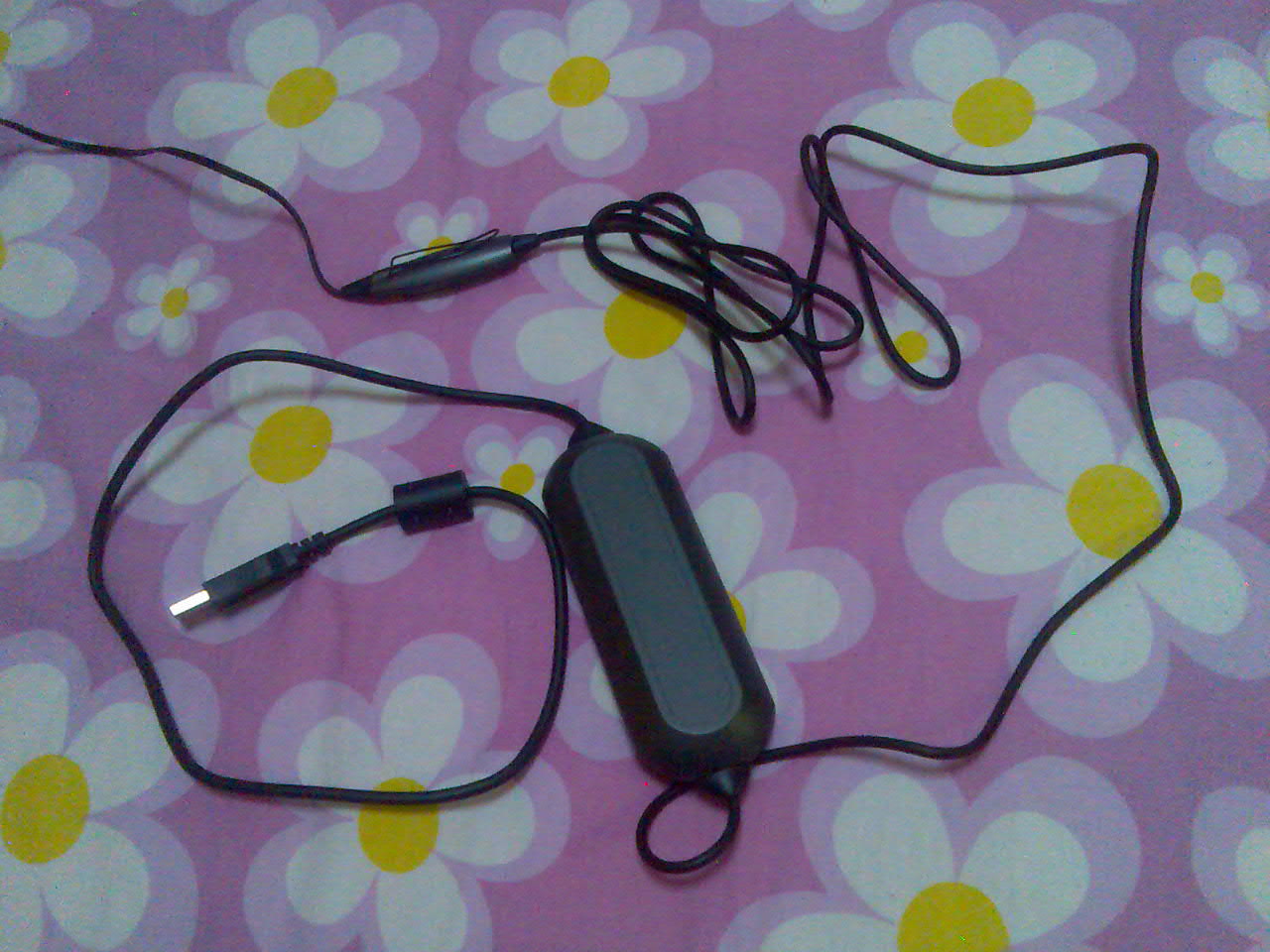 DSP100��������