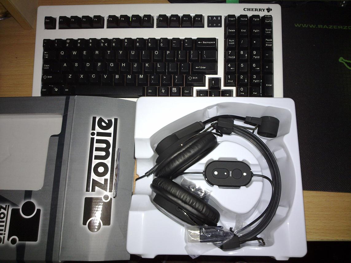 20100308857.jpg