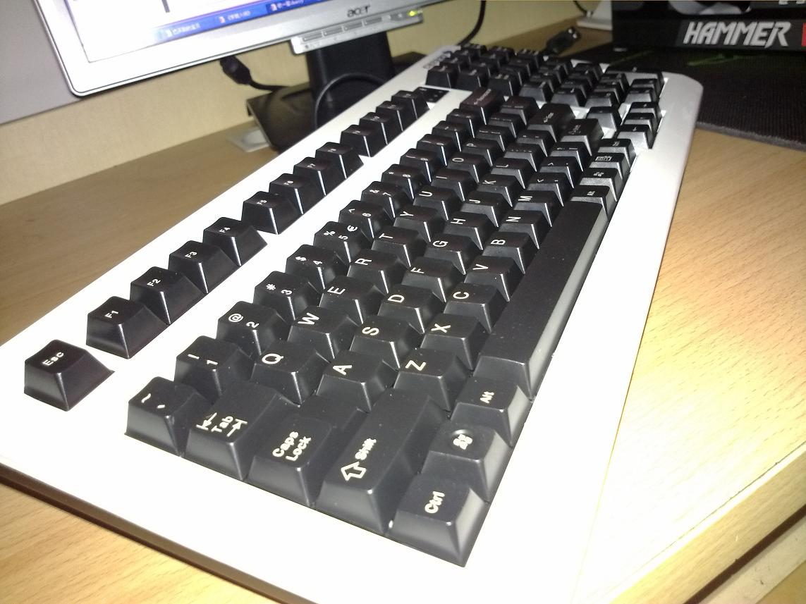 20100308843.jpg