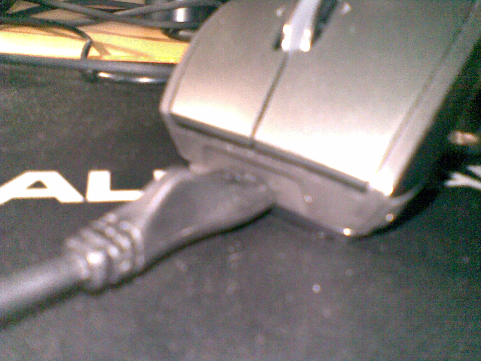 20100308(011).jpg
