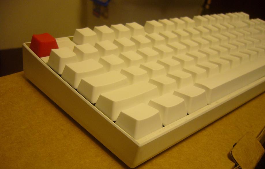 ����ϲ������ɫ������ɫ�޿� �����DUCKY80%