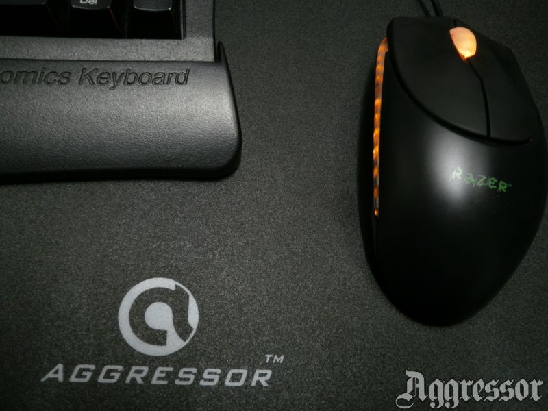 Ϯ?! AGGRESSOR!!! ߸߸ϲ֬Ϸ