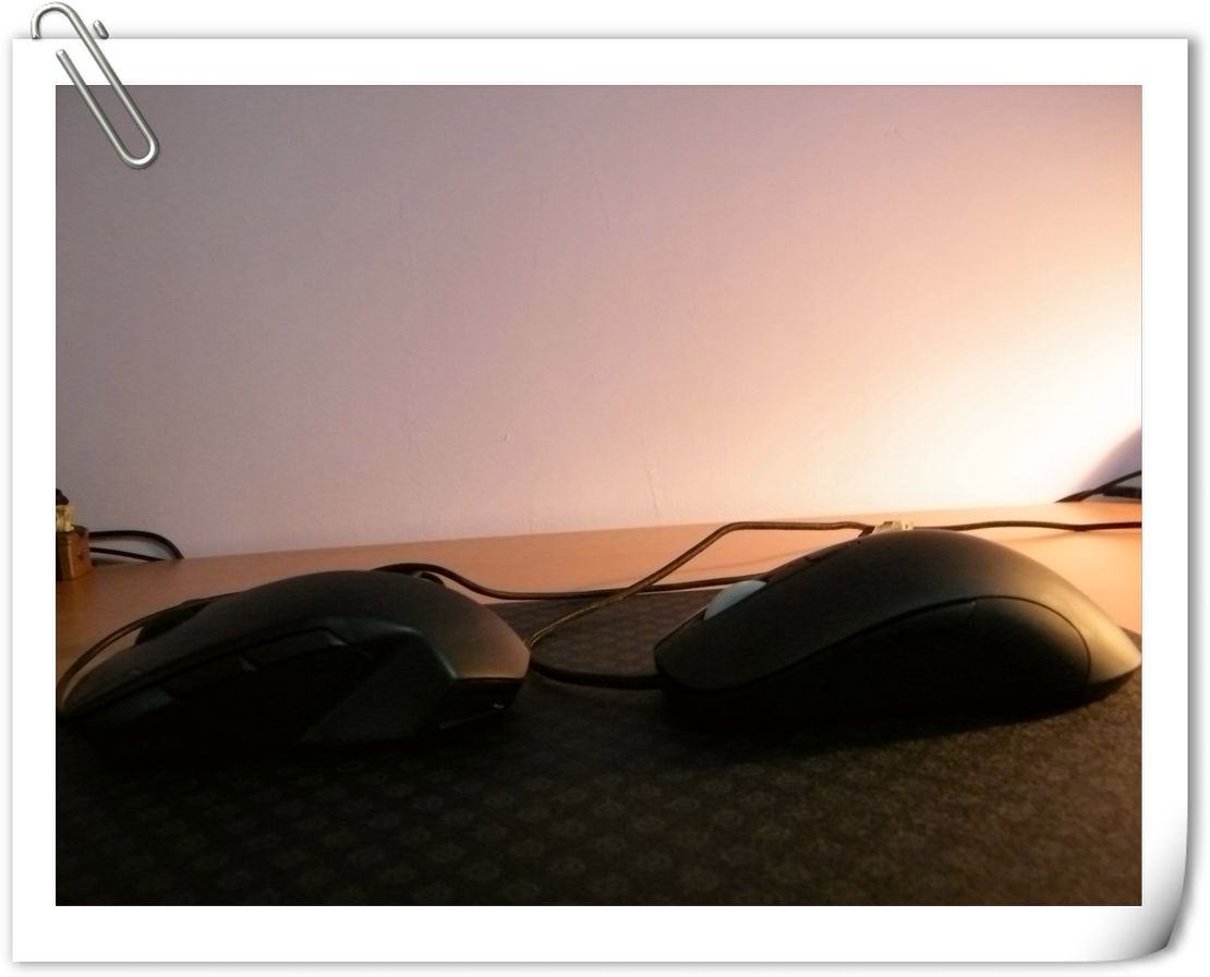 еᡪROCCAT KOVA